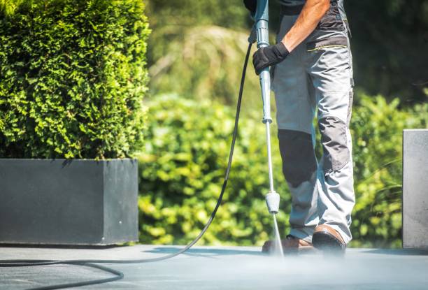 Best Roof Washing  in Roaring Spring, PA
