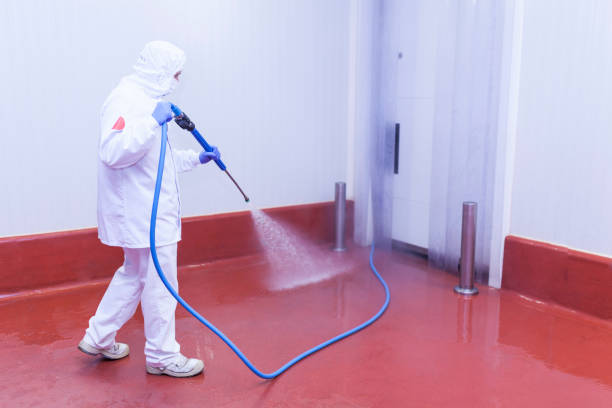 Best Winterizing Services  in Roaring Spring, PA